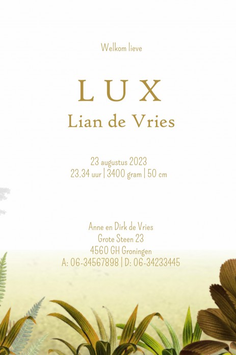 kaart binnenzijde rechts