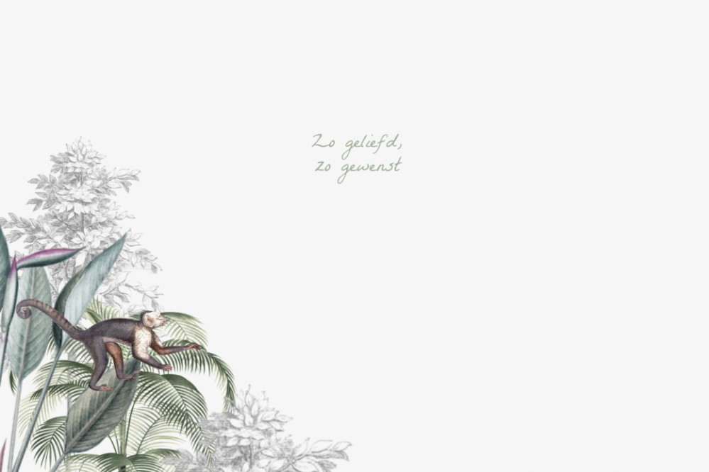 kaart binnenzijde links