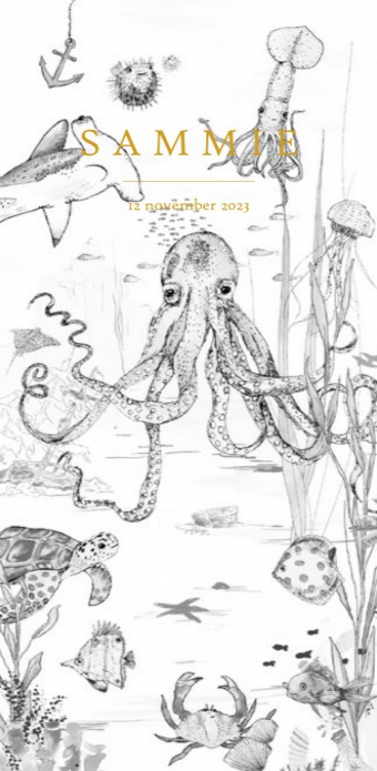 Geboortekaartje 'Underwater Wonders' van Annet Weelink Design