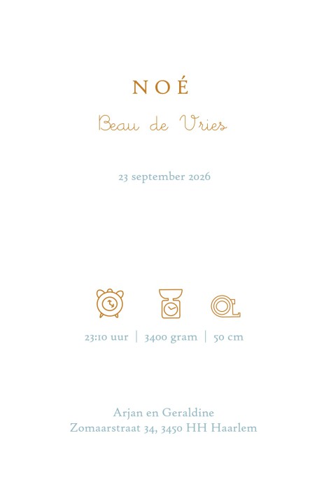 Geboortekaartje met handgeschilderde olifant met blauwe aquarel lijntjes. Origineel met de witte achtergrond. Een mooi klassiek geboortekaartje met originele illustratie. Ook te combineren met folie, vraag eens een proefkaartje aan en ervaar met eigen oge