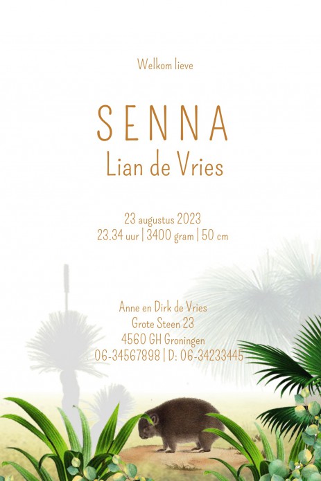 kaart binnenzijde rechts