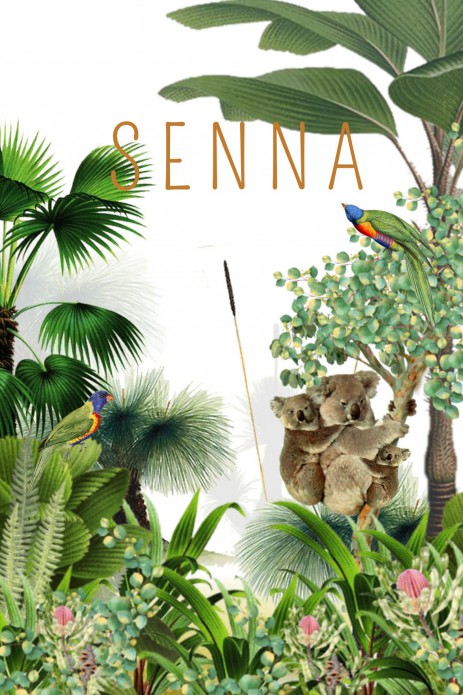 Geboortekaartje australië met koala en grass tree