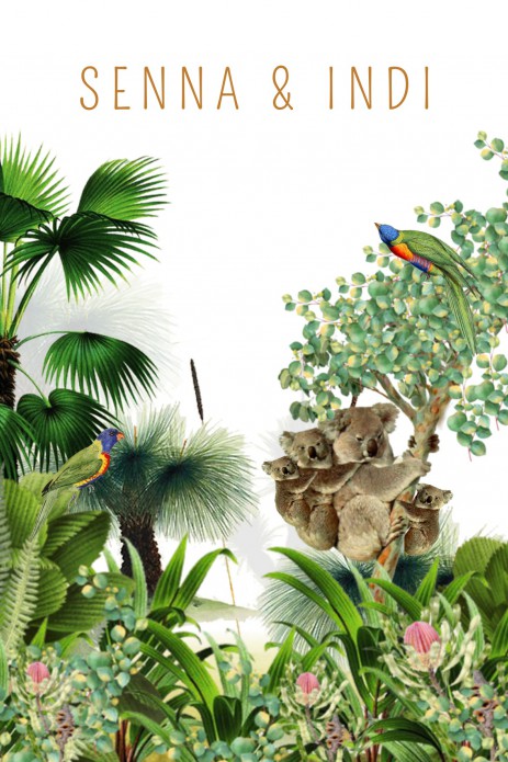 Geboortekaartje australië met koala en grass tree