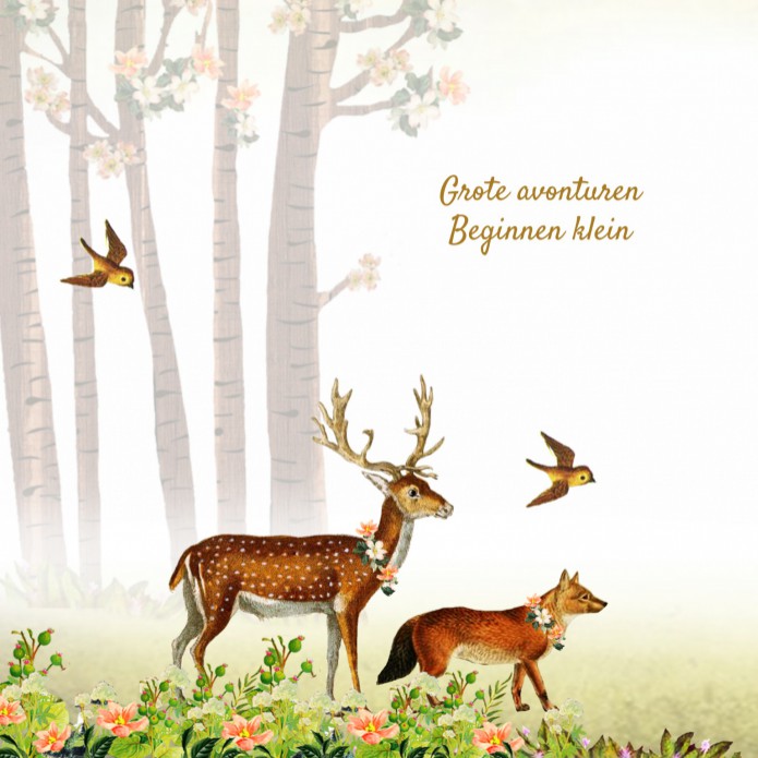 kaart binnenzijde links