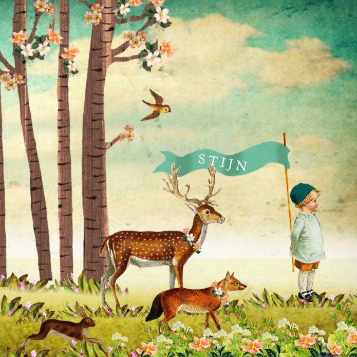 Geboortekaartje avontuur bos