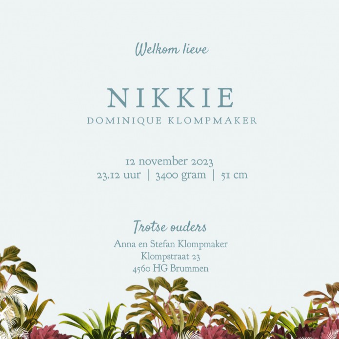 Geboortekaartje avontuur Fiat 500 jungle met dieren zoals de giraf, panter en zebra. Prachtige kleuren en een heel bijzonder geboortekaartje voor jullie meisje. Maak jouw eigen geboortekaartje zoals niemand hem heeft, volledig in jullie eigen stijl. Vraag