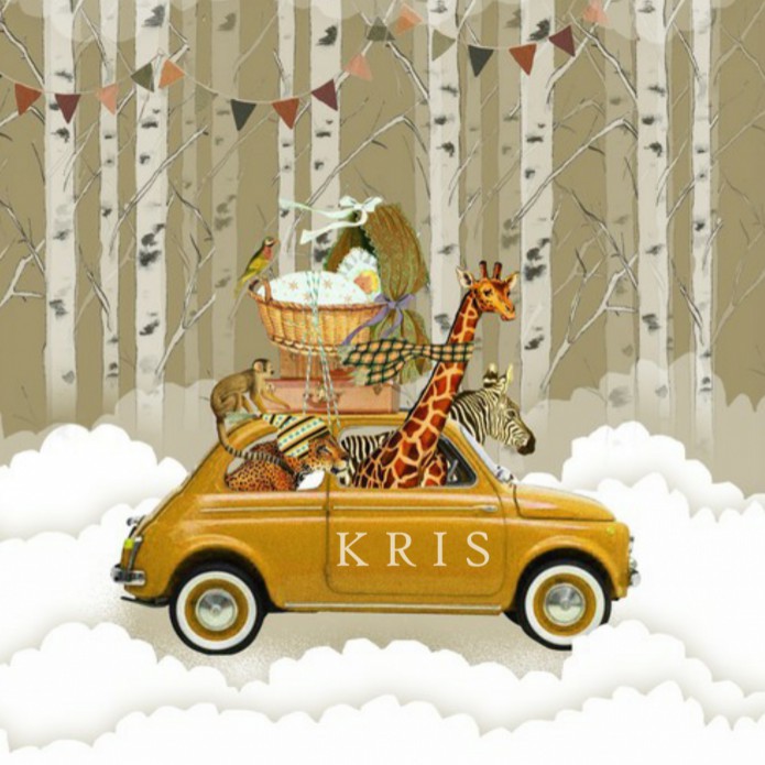 Geboortekaartje avontuur Fiat 500 in de sneeuw