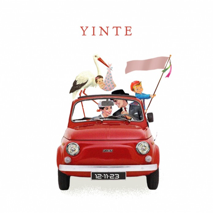 Geboortekaartje avontuur Fiat 500