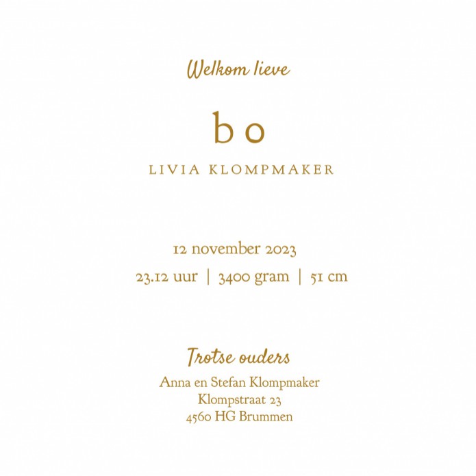 Geboortekaartje met Volkswagen in de herfst. De boom met vallende bladeren past uitstekend in het seizoen en de paddenstoelen maken het helemaal af. De voor en achterkant van de Volkswagen is zichtbaar. Illustratief en grappig geboortekaartje, vraag eens 