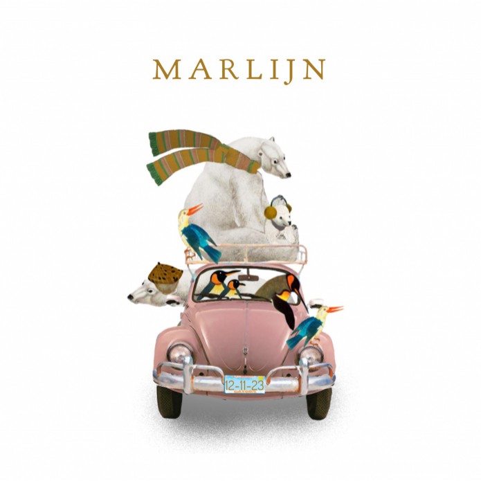Geboortekaartje avontuur volkswagen