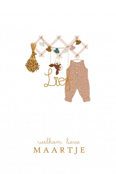 Geboortekaartje babykleertjes