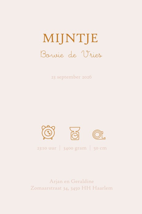 Een heel stijlvol geboortekaartje met babybed en hemeltje. De achtergrondkleur kun je aanpassen. Heel lief geboortekaartje waar je zelf ook nog huisdieren aan toe kunt voegen zoals een kat. Een lief babybedje of babywiegje is een toepasselijk maar ook her