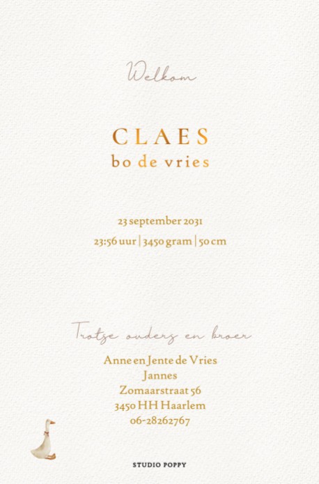 Geboortekaartje met bedje in kamertje, grote broer kijkt over het randje van het bed. Sereen watercolor geboortekaartje met watercolor ledikantje. De baby ligt lekker te slapen en grote broer komt een kijkje nemen.