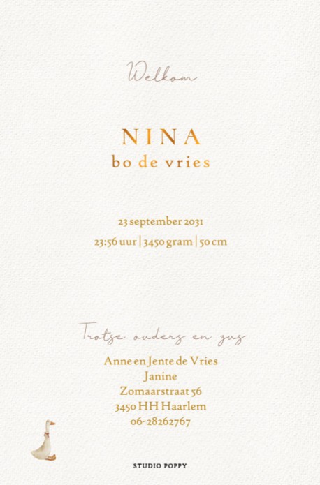 Geboortekaartje met bedje in kamertje, grote broer kijkt over het randje van het bed. Sereen watercolor geboortekaartje met watercolor ledikantje. De baby ligt lekker te slapen en grote broer komt een kijkje nemen. 