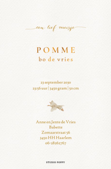 Geboortekaartje met wieg en grote zus. Huisdieren zoals een hond of een kat zijn door middel van de beeldbank toe te voegen. Een lief geboortekaartje met watercolor gezin dat gedrukt kan worden naar jullie gezinssamenstelling.