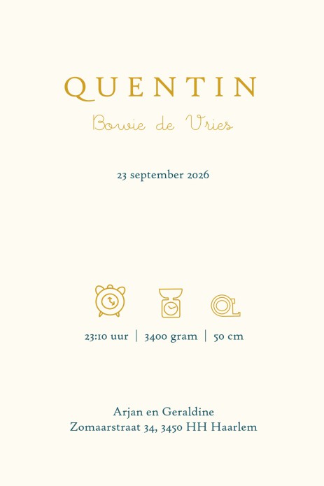 Een heel stijlvol geboortekaartje met babybedje en ijsblauw hemeltje. Heel lief geboortekaartje waar je met de beeldbank zelf ook nog huisdieren aan toe kunt voegen zoals een kat. Een lief babybedje of babywiegje is een toepasselijk maar ook herkenbaar be