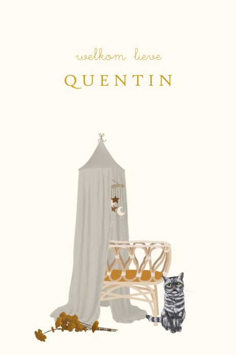 Geboortekaartje baby in wiegje met huisdier