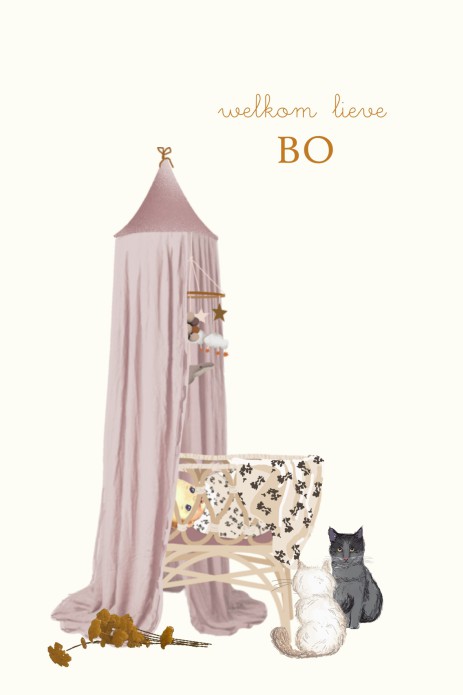 Geboortekaartje babybed met huisdier kat