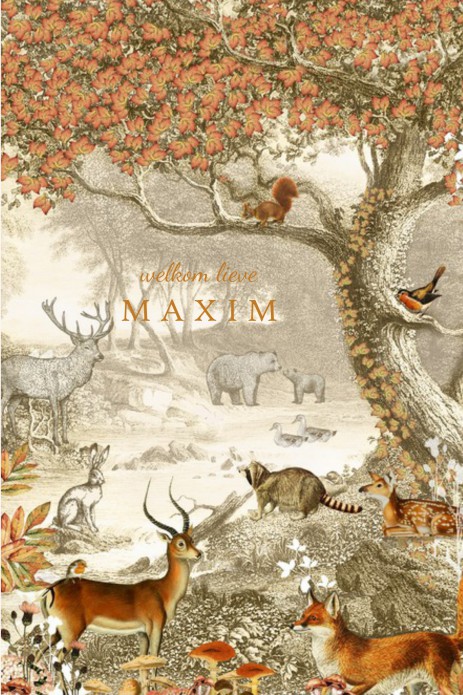 Geboortekaartje forest met bosdieren