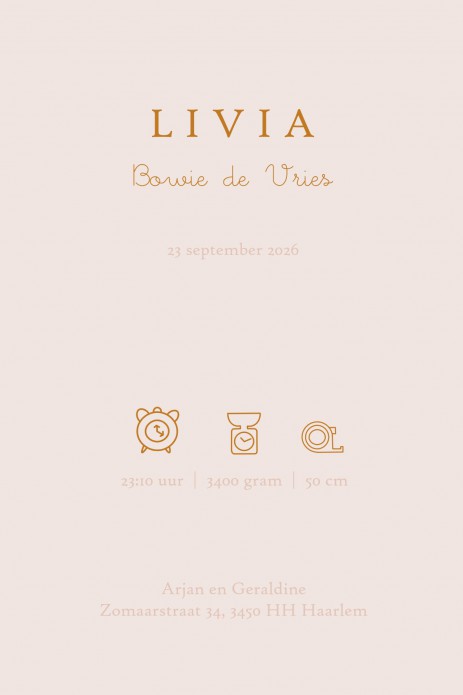 Geboortekaartje bohemian met babykleertjes, babykamer spulletjes in boho stijl in warme pastel tinten. Een lief geboortekaartje waar je met behulp van de beeldbank jouw eigen draai aan kan geven. Een bedje en een kapstokje of alleen het wandrekje met baby