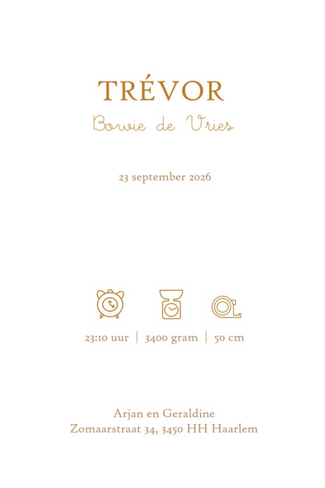 Prachtige klassieke geboortekaartjes met blauwe aquarel lijntjes. Het lijkt een beetje op de Bretonse streep uit Bretagne. Klassieke typografie past daar prachtig bij. Er zijn vele varianten verkrijgbaar dus bekijk ze allemaal! Foliedruk is ook mogelijk b