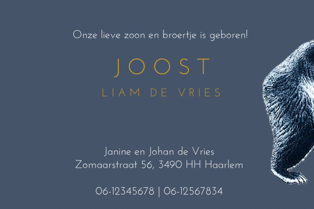 Geboortekaartje beer mono met foliedruk. Foliedruk geboortekaartjes zijn niet meer weg te denken. Ze geven jullie bijzondere geboortekaartje een chique uitstraling en eentje om voor altijd te bewaren. Bepaal zelf wat in foliedruk wil hebben, wij helpen je