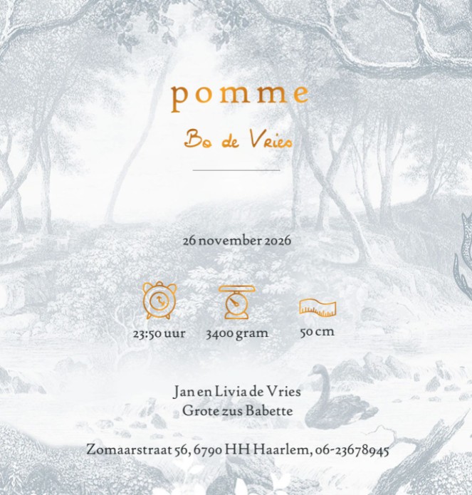 Geboortekaartje forest met bosdieren vintage blauw. Een sprookjesachtig bos met hert, beren en konijn in mono tinten. Verkrijgbaar in vintage groen, bruin en blauw, uniseks en genderneutraal geboortekaartje in romantisch hippe stijl. Bosdieren komen kijke