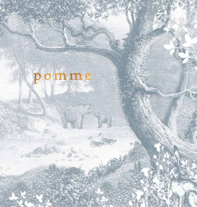 Geboortekaartje forest met bosdieren