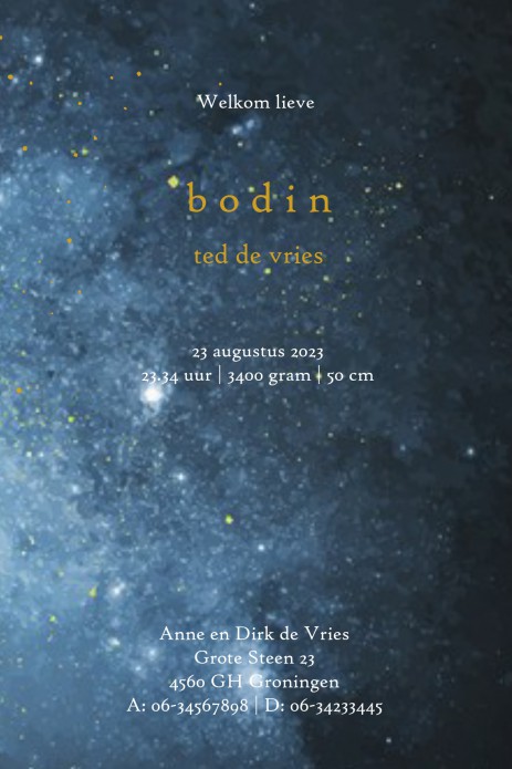 Geboortekaartje beren met maan en sterrenstelsel in foliedruk. Bijzonder geboortekaartje met een romantische illustratie van vader of moeder beer en haar jong. De foliedruk maan licht mooi op in de nacht. Laat eens een proefdruk maken en ga voor dit uniek