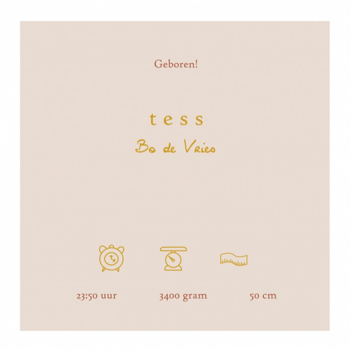 Geboortekaartje berg landschap bomen en herten. Wij ontwerpen de geboortekaartjes zelf en zijn bijzonder met foliedruk en handgetekende details. De ontwerpstudio maakt dat ene unieke geboortekaartje speciaal voor jou. Je mag hem zelf bewerken in de editor