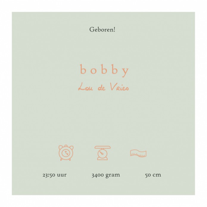 Geboortekaartje berg met herten, in goudfolie of in onze andere varianten foliedruk. Langwerpig staand model dat in elke gewenste kleur gedrukt kan worden. Er is keuze in 4 soorten foliedruk, zilver, goud, koper en rosegoud. Vraag eens een gratis proefkaa