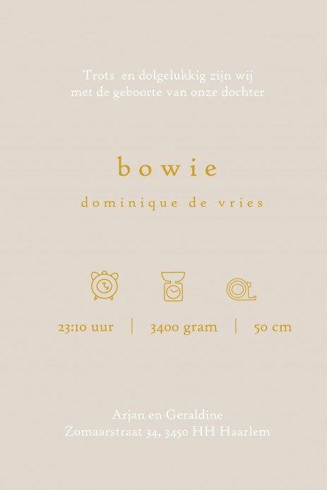 Geboortekaartje dorp in bergen met ballonnen. Prachtige kleuren met speelse ballonnen en lieve huisjes. Er zijn 4 soorten foliedruk te selecteren: goudfolie, zilverfolie, koperfolie en rosegoudfolie. Ga zelf aan de slag!