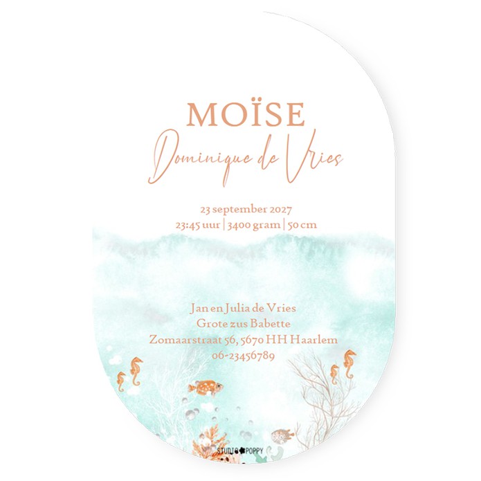 Ovaal geboortekaartje onderwater wereld in pastel tinten. Er is allerlei beeldmateriaal aanwezig zoals een schildpad, orka, zeehond, octopus, zeemeeuw. Ontwerp zelf jouw unieke geboortekaartje en laat eens een proefdruk maken.