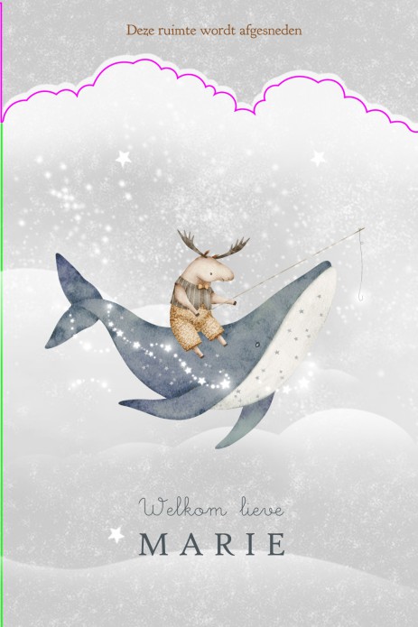 Geboortekaartje bijzondere vorm met gestanste wolk