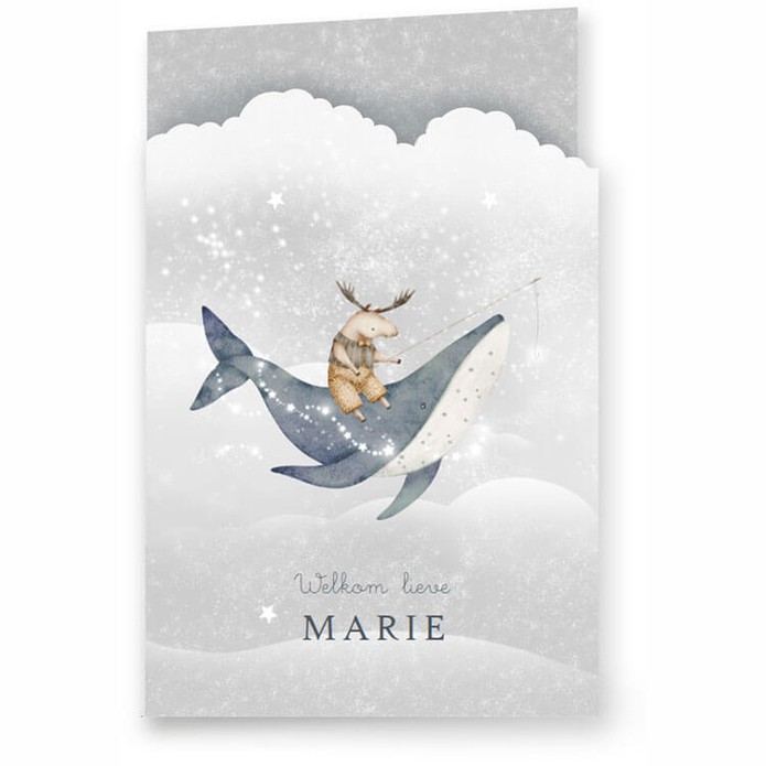 Geboortekaartje bijzondere vorm met gestanste wolk