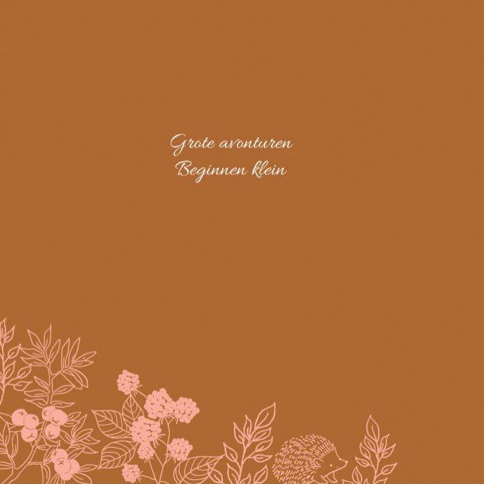 kaart binnenzijde links