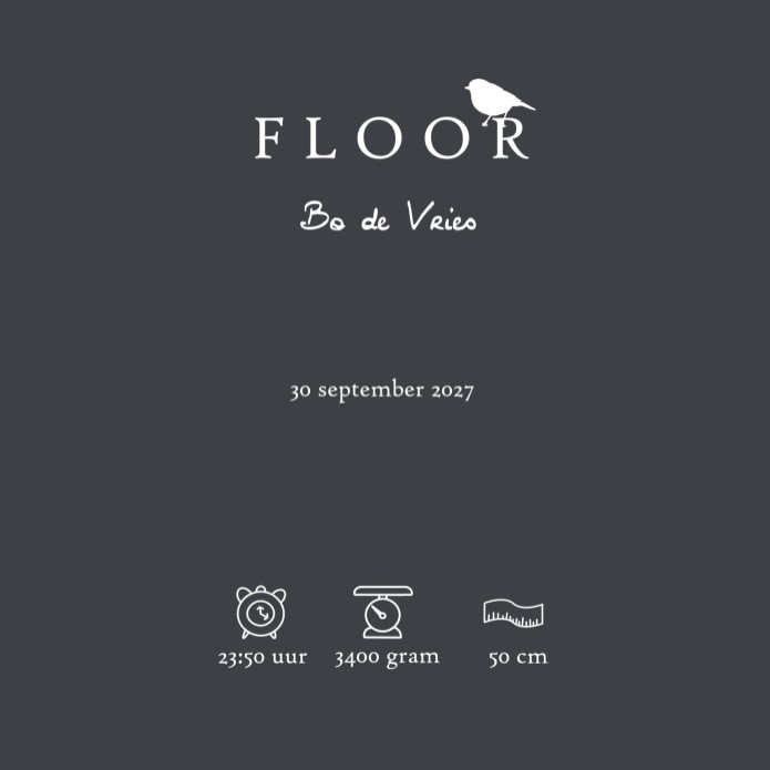 Probeer zelf eens wat kleurstellingen uit voor jouw unieke geboortekaartje. Een heel stijlvol geboortekaartje met originele handgeschilderde bloemen illustratie en accent in folie. De ronde hoeken optie kun je aanzetten bij het bestellen van de proefkaart