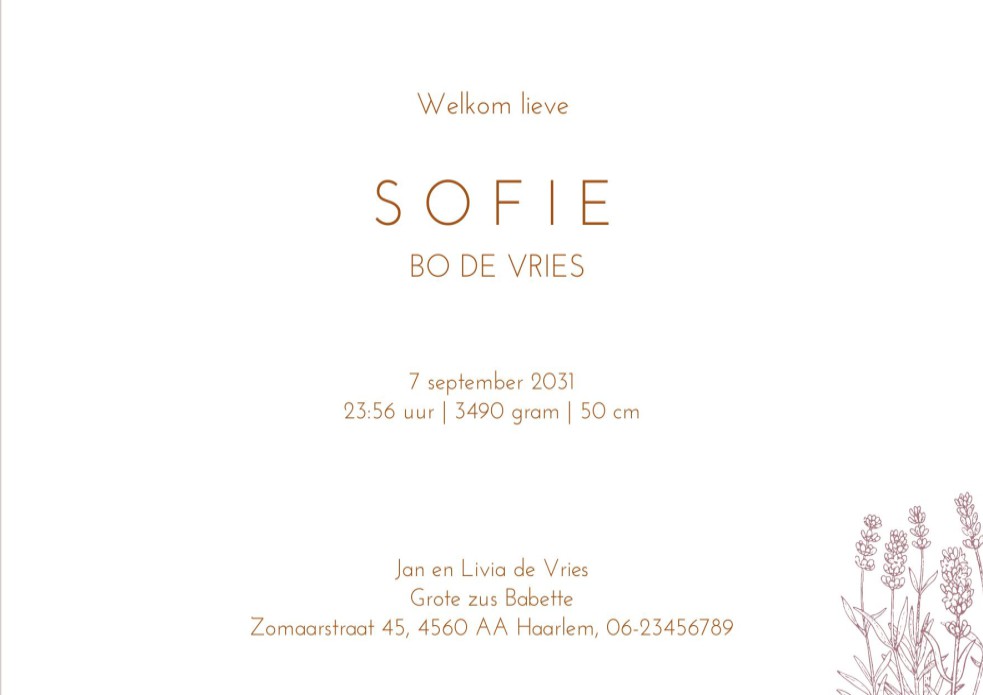 Geboortekaartje sereen boerderij dieren. Met een schaap, geit en gans in het weiland woon je toch echt op een boerderij. Er is een kindje geboren en de dieren kijken nieuwsgierig over het randje. De kip staat op de rus van het schaap.