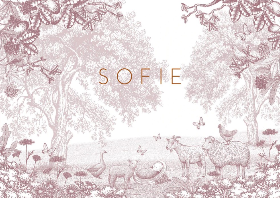 Geboortekaartje sereen boerderij dieren. Met een schaap, geit en gans in het weiland woon je toch echt op een boerderij. Er is een kindje geboren en de dieren kijken nieuwsgierig over het randje. De kip staat op de rus van het schaap.