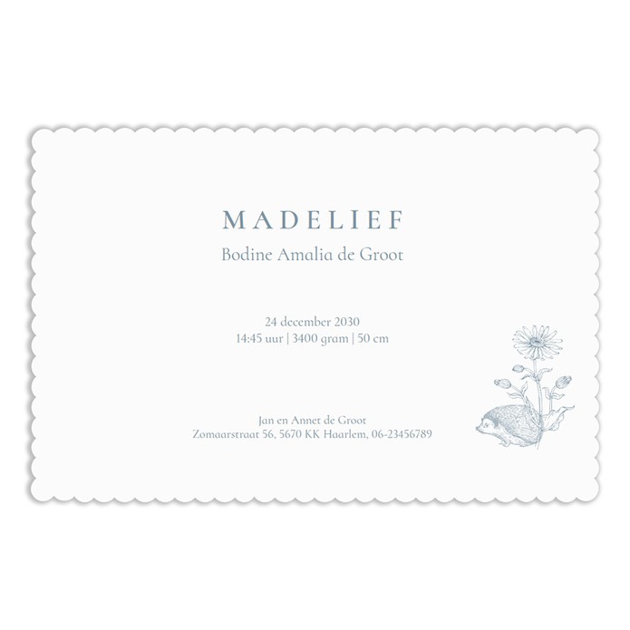 Geboortekaartje boerderij dieren met een schaap, geit, kip en lammetje. De illustratie is in prachtige monotonen verkrijgbaar, blauw, roze en groen. Prachtig gender neutraal geboortekaartje voor wie van het platteland houdt!