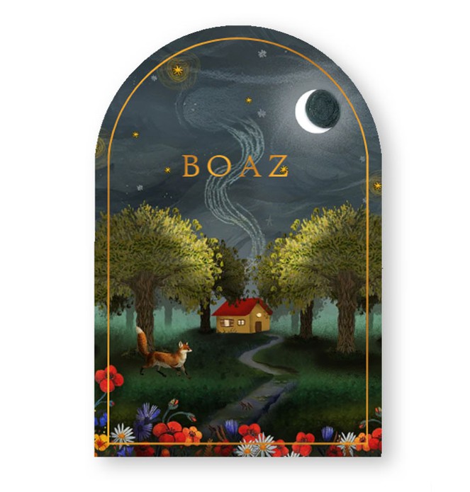 Geboortekaartje boogvorm met huisje onder de sterren