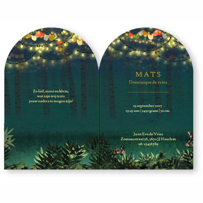 Geboortekaartje in het bos met dieren die rond het kampvuur dansen. Een fantasierijke illustratie in avontuurlijke sfeer. De bosdieren vieren feest met muziek, gezellige verlichting en vlaggetjes. Het geboortekaartje is ook met folie verkrijgbaar. Bestel 