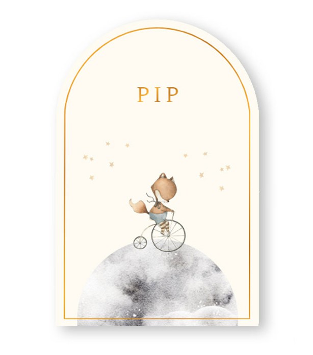 Geboortekaartje boogvorm met vosje op fiets