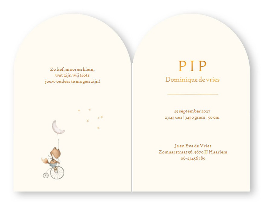 Geboortekaartje in boogvorm met lief beeld van een vosje op een fiets. Met de hand geschilderde illustratie en origineel geboortekaartje voor jullie pasgeboren baby. De zachte kleuren zijn sereen en dus ook geschikt voor als je meer van een rustig geboort