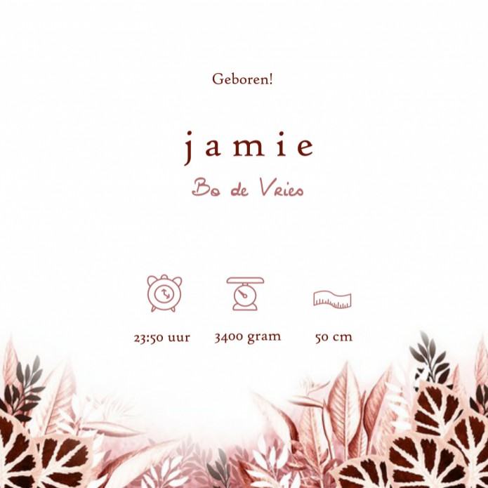 kaart binnenzijde rechts