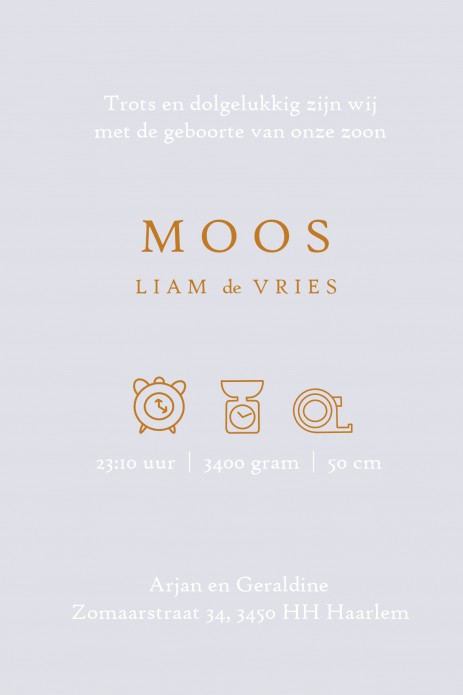 Bohemian geboortekaartje zon maan sterren. Geboortekaartje foliedruk zebra print. Geboortekaartje met foliedruk is héél stijlvol en chique. Het maakt jouw kaartje extra bijzonder voor jullie kindje. Er zijn verschillende soorten foliedruk om tussen te kie