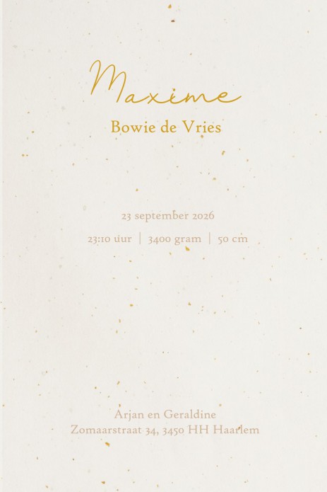 Geboortekaartje bohemian palm, een geweldig boho geboortekaartje met palmbomen. Rustieke kleuren en speelse vormen maken het een uniek geboortekaartje. Je kunt de kleuren naar wens aanpassen zoals jij dat wil, probeer het allemaal maar eens uit. Vraag een