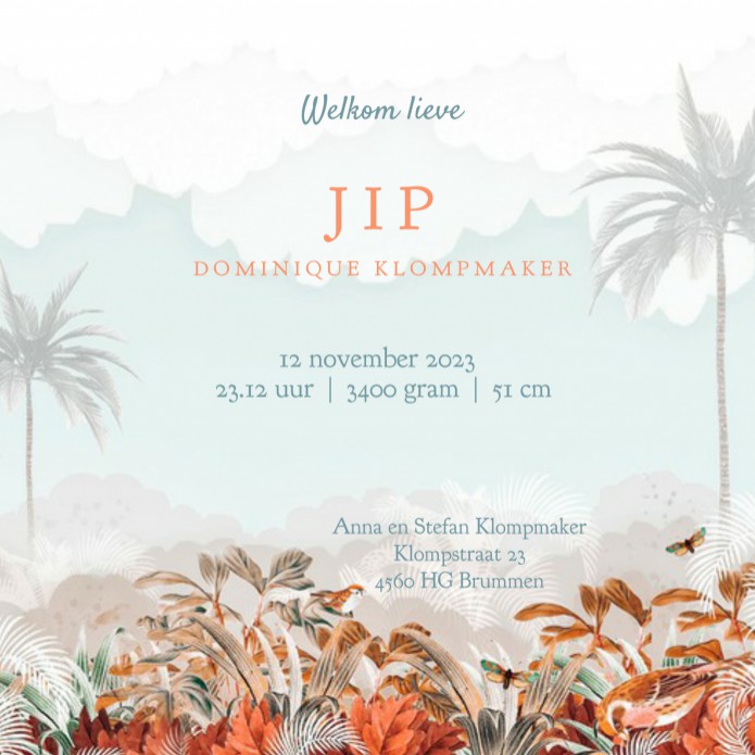 Geboortekaartje boho jungle fiat 500 voor een bijzondere aankondiging van jullie kleintje. Maak jouw eigen geboortekaartje zoals niemand hem heeft, volledig in jullie eigen stijl. Vraag eens een gratis proefkaartje aan om jouw geboortekaartje maan in het 