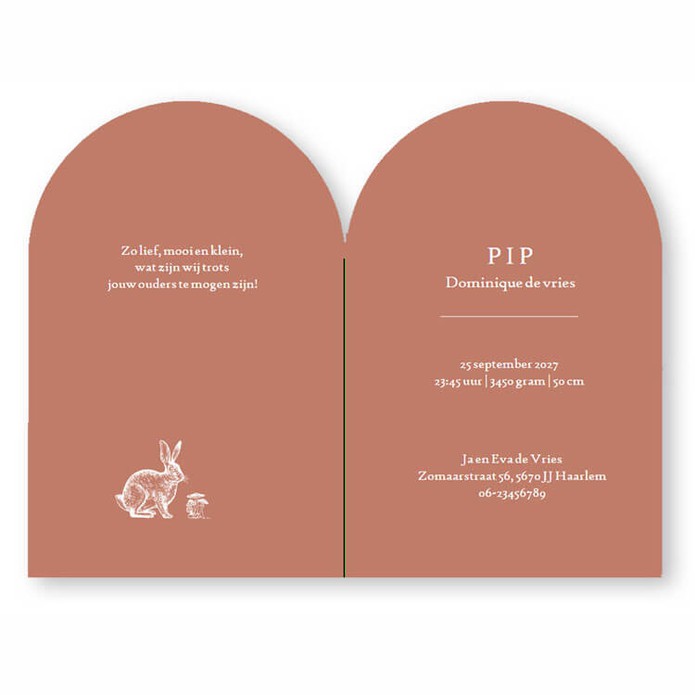 Een uniek geboortekaartje in boogvorm met handgetekende boom. Prachtige lijntekeningen van bosdieren zijn te selecteren in deze collectie samen met Maenmeisje. De roestkleuren zijn zorgvuldig gekozen maar je mag uiteraard jouw eigen combinaties bepalen.