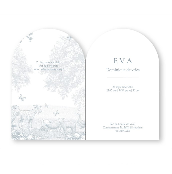 Geboortekaartje met schaap, geit en gans. Een illustratie waarin het platteland met weiland en de boerderij centraal staan. Een sereen geboortekaartje in monotoon en verkrijgbaar in verschillende tinten. De baby in de natuur op jullie geboortekaartje.